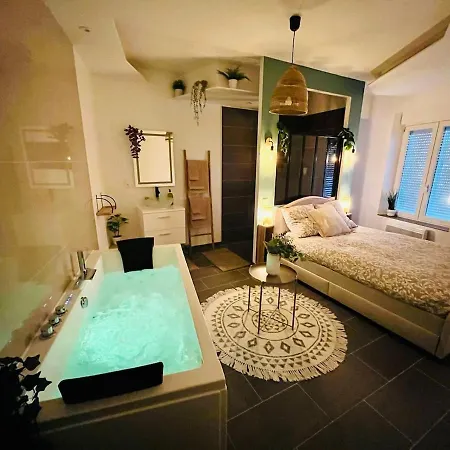 Le Cocon Des Rives Apartment Nancy