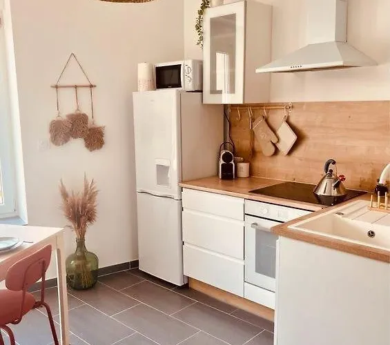 Le Cocon Des Rives * 낭시